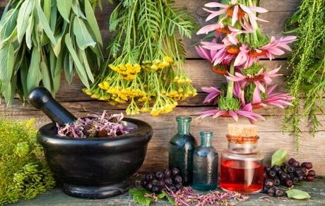 گیاه «برنجاسپ»  به درمان کرونا کمک می‌کند؟