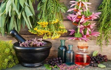 گیاه «برنجاسپ»  به درمان کرونا کمک می‌کند؟