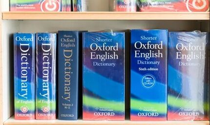 برای اولین بار، واژه سال لغت‌نامه «آکسفورد»‌ توسط رای مردمی انتخاب می‌شود