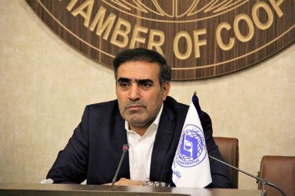 سهم فعلی بخش تعاون کمتر از ۶ درصد است