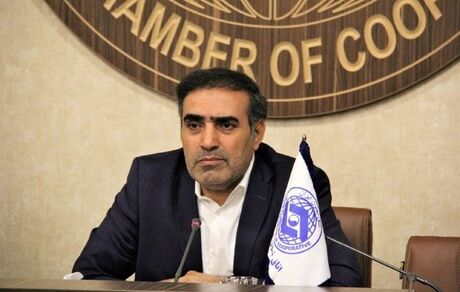 سهم فعلی بخش تعاون کمتر از ۶ درصد است