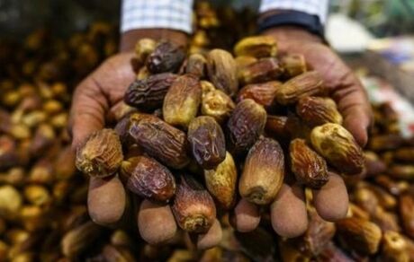یک تاجر فلسطینی ۱۵ تن خرما به مناطق زلزله‌زده ترکیه فرستاد