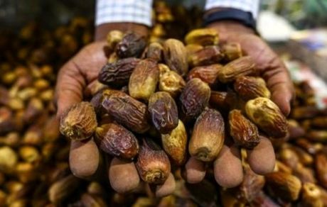 یک تاجر فلسطینی ۱۵ تن خرما به مناطق زلزله‌زده ترکیه فرستاد