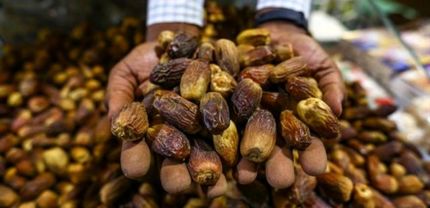 یک تاجر فلسطینی ۱۵ تن خرما به مناطق زلزله‌زده ترکیه فرستاد