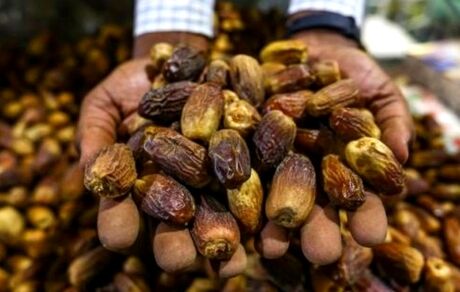 یک تاجر فلسطینی ۱۵ تن خرما به مناطق زلزله‌زده ترکیه فرستاد