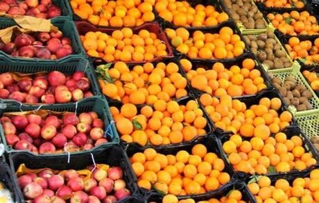 میوه شب عید استان‌ها تا پایان بهمن ارسال خواهدشد