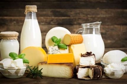افزایش قیمت تمام شده، صادرات لبنیات را کاهش داد/ انتقاد از عدم حذف تعرفه صادراتی
