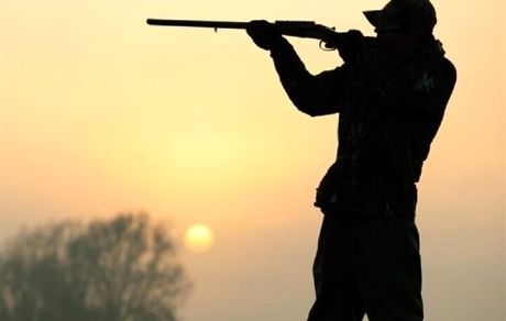 دستگیری ۲ نفر از عاملان تیراندازی به محیط بانان بوشهری