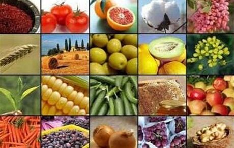 ممنوعیت صادرات ۱۵ محصول کشاورزی برداشته شد