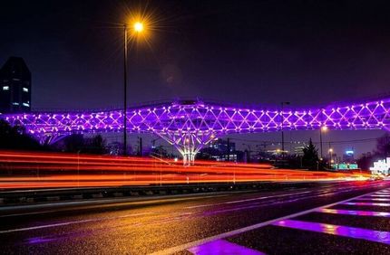 پل طبیعت بنفش می‌شود