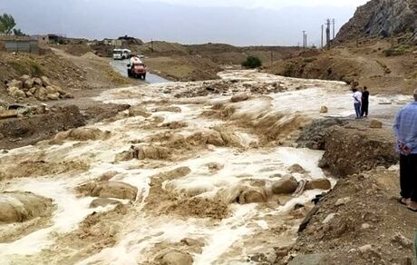 سیل سبب تلف شدن ۲۰۰۰ دام در الیگودرز شد