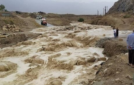 سیل سبب تلف شدن ۲۰۰۰ دام در الیگودرز شد