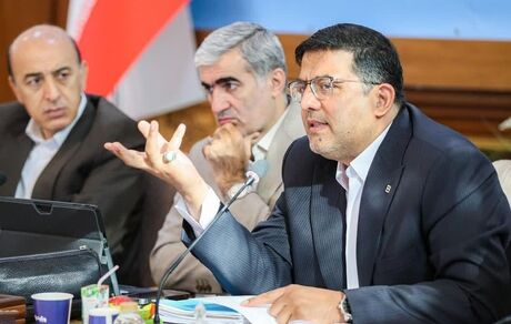 اهتمام بانک مسکن بر پرداخت تسهیلات متمم پروژه‌های حمایتی مسکن
