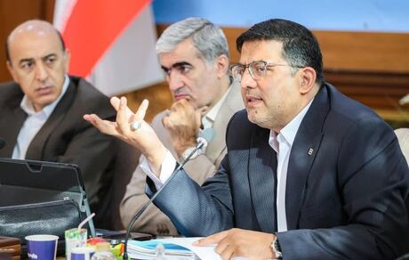 اهتمام بانک مسکن بر پرداخت تسهیلات متمم پروژه‌های حمایتی مسکن
