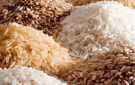 ۶۵ هزار تن برنج و شکر تنظیم بازار عرضه شد
