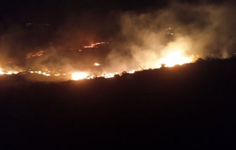 سوختن ۲۰۰ هکتار از منطقه حفاظت شده خانگرمز بخاطر گرم کردن غذا