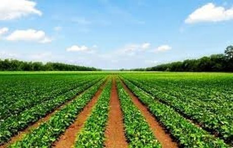 خاک کشاورزی قاچاق نمی شود/با انباشت خشکسالی مواجهیم