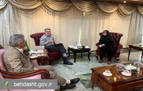 سخنگوی دولت از اجرای موفقیت‌ آمیز طرح سلامت نوروزی در ایام تعطیلات خبرداد