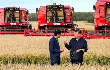 چه خبر است: چین، نصف غلات جهان را ذخیره کرده است