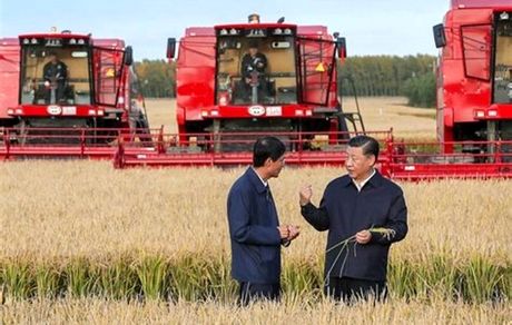 چه خبر است: چین، نصف غلات جهان را ذخیره کرده است