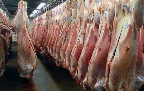 قیمت روز گوشت گوسفندی اعلام شد