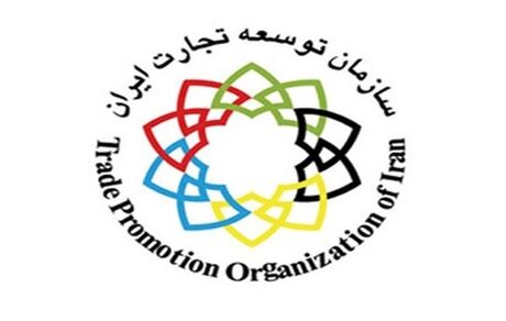 تکذیب خبر تغییر موضع سازمان توسعه تجارت در زمینه حقوق ورودی خودروهای وارداتی