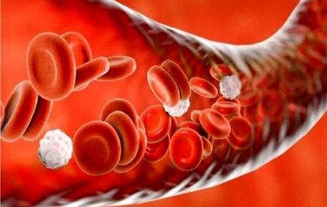 کشف علت جدیدی برای فشار خون بالا