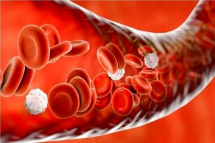 کشف علت جدیدی برای فشار خون بالا