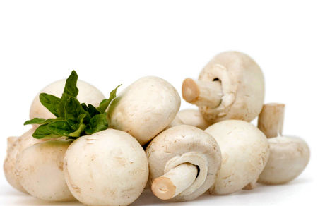 پیشگیری از سرطان پروستات با مصرف قارچ