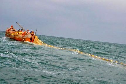 ممنوعیت صید ساردین و موتو ماهیان در آب‌های شهرستان قشم