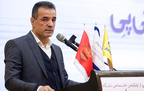 انصاری‌فرد: به صورت جدی پیگیر استوکس هستیم