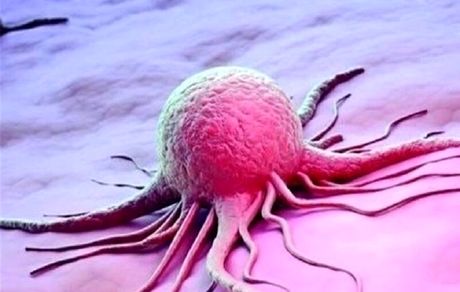 داروی گیاهی ایرانی پیشگیری از سرطان بزودی وارد بازار می‌شود