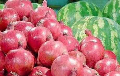  قطعی برق و کمبود منابع آبی و شرایط اقلیمی قیمت انار را بالا برده است