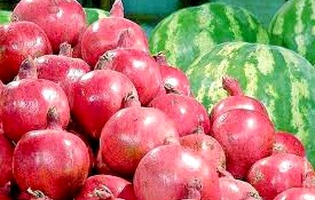  قطعی برق و کمبود منابع آبی و شرایط اقلیمی قیمت انار را بالا برده است
