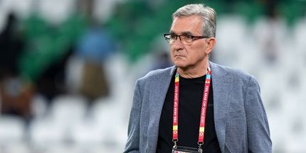 برانکو سرمربی پرسپولیس نمی‌شود / جواب پرفسور: نه