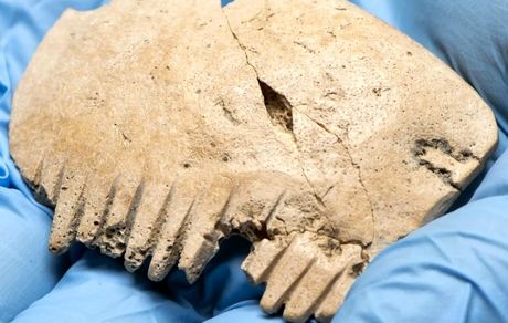 کشف شانه تاریخی و مرموز در انگلیس