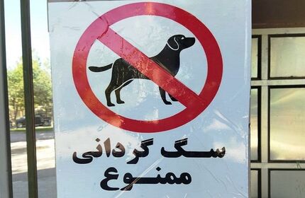 قتل مردی ۳۹ ساله در سعادت‌آباد بخاطر درگیری بر سر سگ گردانی