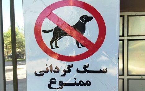 قتل مردی ۳۹ ساله در سعادت‌آباد بخاطر درگیری بر سر سگ گردانی