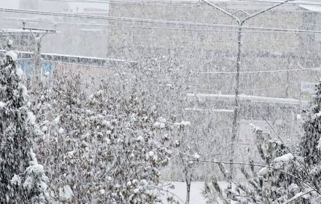 بارش برف در نقاط مختلف کشور