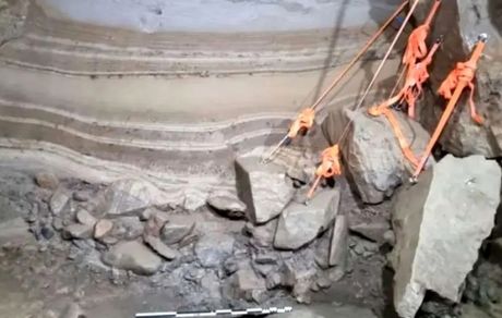 کشف بقایای ۴۶ گونه جانوری از عصر یخبندان در نروژ
