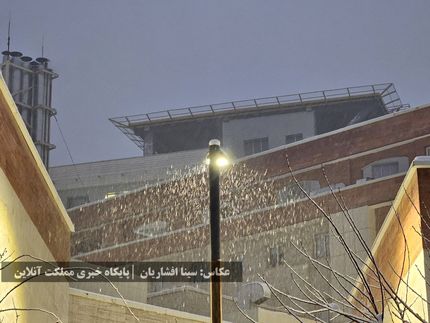 بارش برف از امشب در سراسر کشور آغاز می‌شود