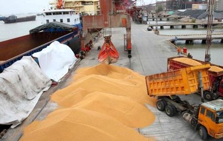  اجرای ۸ راهکار بابت‌ تخلیه بنادر از کالای اساسی‌/۴.۳۷ میلیون تن کالا‌ از بندر امام خارج شد