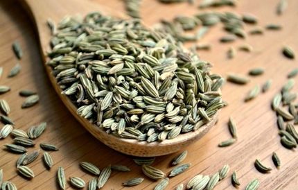 خواص بیشماری که در دانه های رازیانه نهفته است