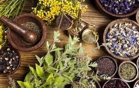 کرونا موجب رشد مصرف گیاهان دارویی در کشور شده است
