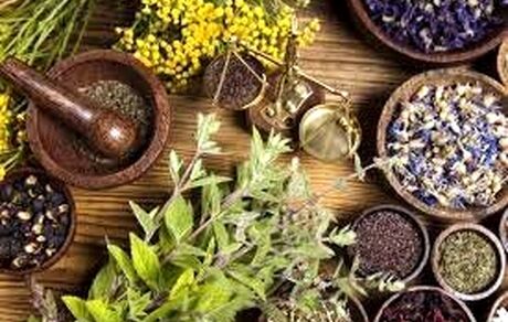 کرونا موجب رشد مصرف گیاهان دارویی در کشور شده است