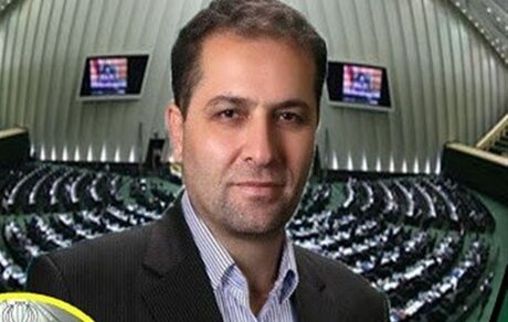 نماینده مجلس: کالاهای لوکس با ارز دولتی وارد شد