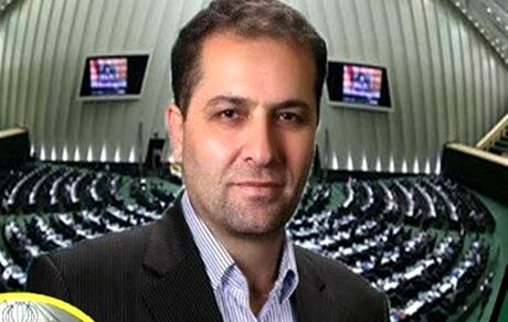 نماینده مجلس: کالاهای لوکس با ارز دولتی وارد شد
