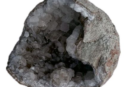 کشف تخم دایناسور پر از بلور متعلق به ۷۰ میلیون سال پیش در چین