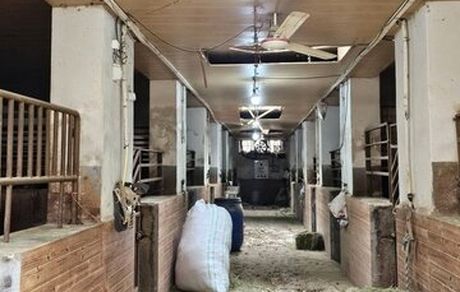 در حمله دشمن، مجموعه تاریخی فرح آباد و ساختمان فدراسیون چوگان آسیب دیدند