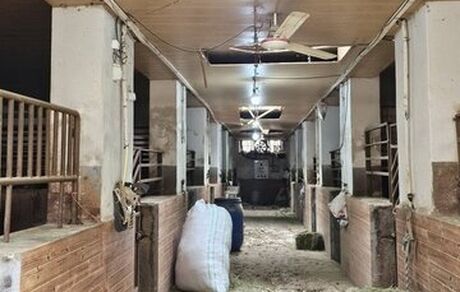 در حمله دشمن، مجموعه تاریخی فرح آباد و ساختمان فدراسیون چوگان آسیب دیدند